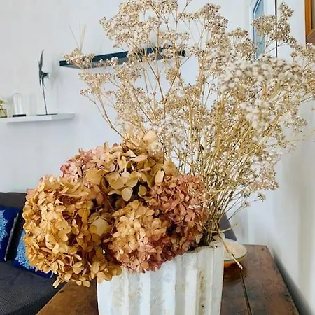 Maison De - Cosy - Centre - Wifi -gare * Angouleme